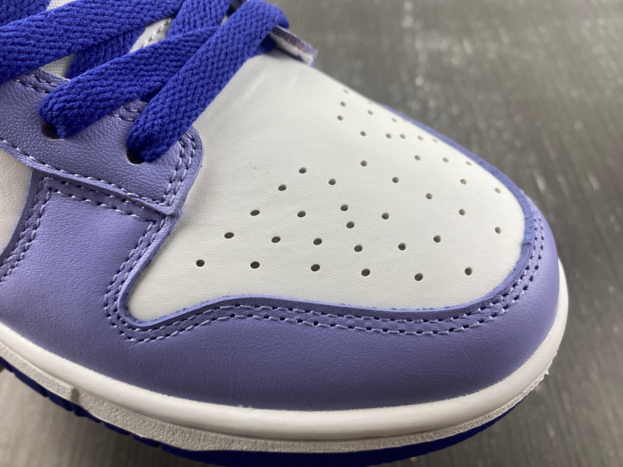 nike dunk low gs "blueberry" dz4456-100